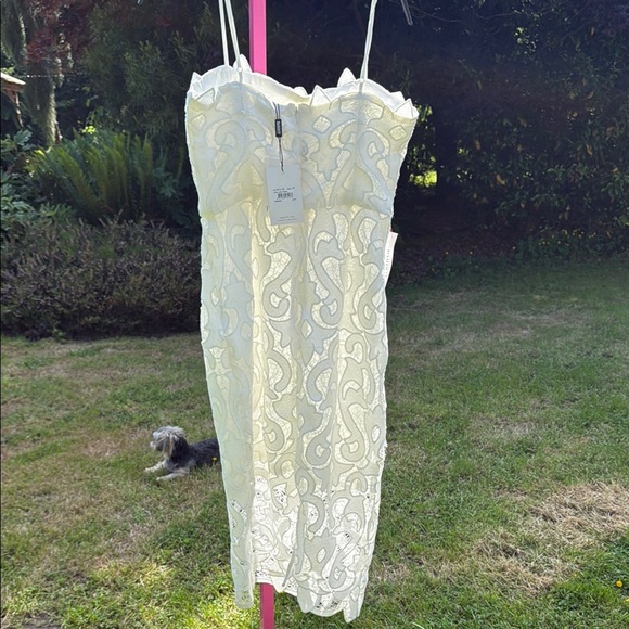 NWT Bardot Cream Sheath Dress Spaghetti Strap Wedding size 6 - Picture 5 of 11